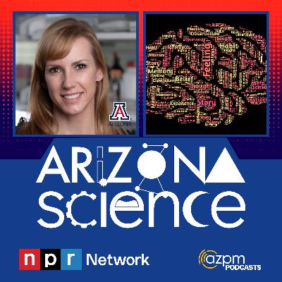 The impact of childhood trauma on adult behavior