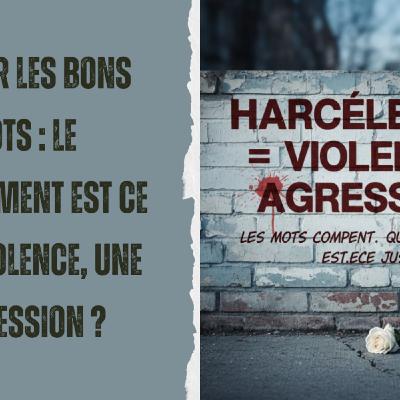 Hypnosophie #1250 / Utiliser les bons mots : le harcèlement est ce de la violence ? une agression ? Hypnosophie #1250 / Utiliser les bons mots : le harcèlement est ce de la violence ? une agression ?
