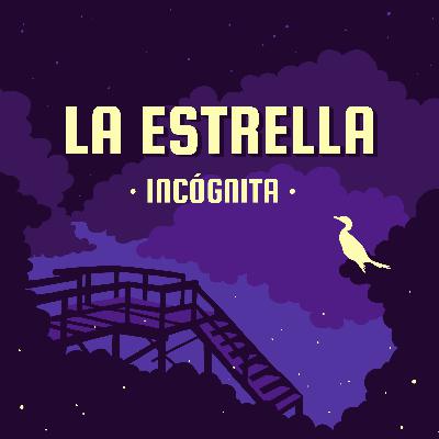 Capítulo 1: Incógnita