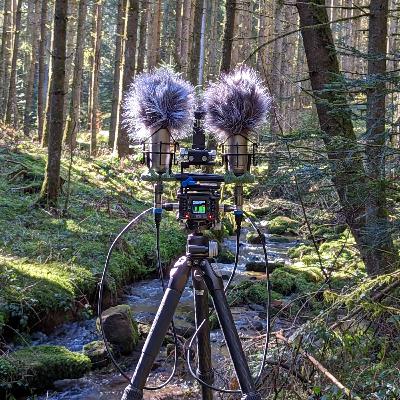 Relaxing ambient sound recording, Entspannende Naturklänge (Bach, Creek)