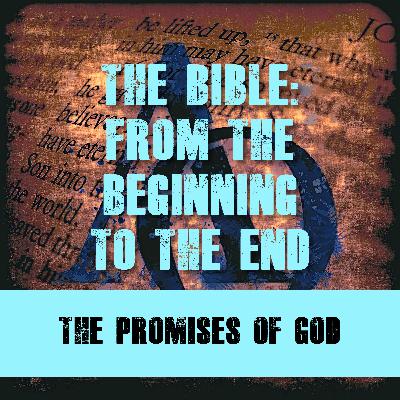Episode 014 - The Bible - The Beginning to the End - The Promises of God