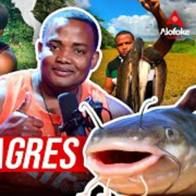 EL REY DE LOS BAGRES (TODO LO QUE TIENES QUE SABER DE ESTA ESPECIE CON JAVIER GOLDFISH) EL REY DE LOS BAGRES (TODO LO QUE TIENES QUE SABER DE ESTA ESPECIE CON JAVIER GOLDFISH)