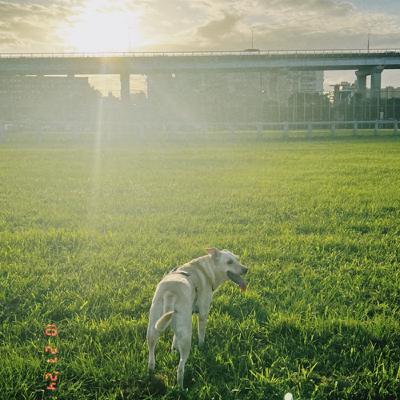 EP42 覺醒和我想的不一樣｜在死之前先死一次，你才能真正活著