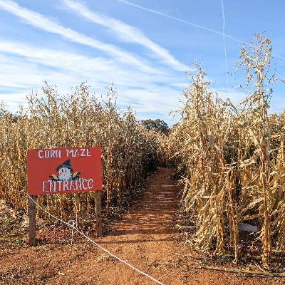 049 - Fall Pumpkin & Corn Maze Season and 2023 PYO Strawberry Planting
