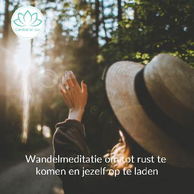 #069 | Wandelmeditatie om tot rust te komen en jezelf op te laden #069 | Wandelmeditatie om tot rust te komen en jezelf op te laden