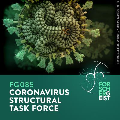 FG085 Coronavirus Structural Task Force FG085 Coronavirus Structural Task Force
