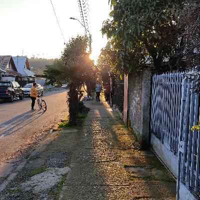 Cocinas Solidarias, la ciudadanía que necesitamos. Cocinas Solidarias, la ciudadanía que necesitamos.