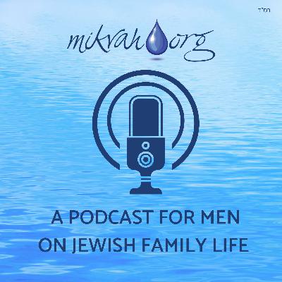 Part Four: Maamer Lechah Dodi with Rabbi Eli Estrin Part Four: Maamer Lechah Dodi with Rabbi Eli Estrin