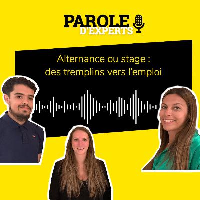 Alternance ou stage : des tremplins vers l'emploi