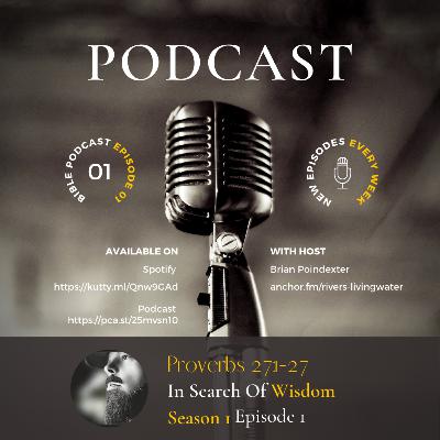 In Search Of Wisdom Proverbs Chapter 1 Verses 1-27