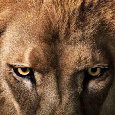 EL SECRETO DE LA VIDA EL SECRETO DE LA VIDA