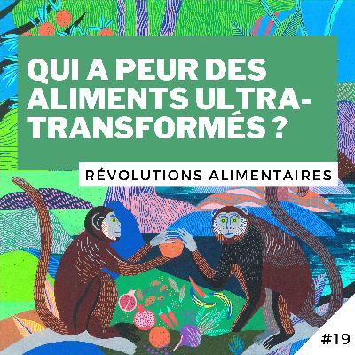 #19 - Qui a peur des aliments ultra-transformés ?