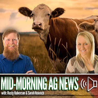 Mid-morning Ag News, October 27, 2025: Beef prices tumble after recent post on Truth Social