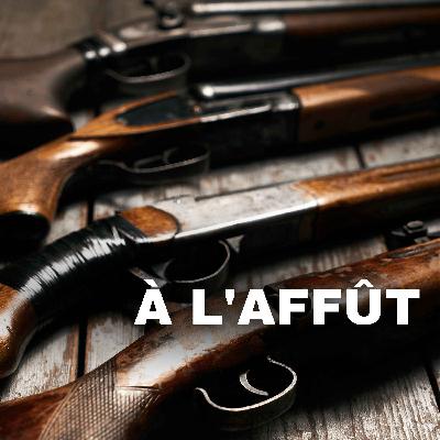 Pourquoi les chasseurs doivent-ils déclarer leurs armes auprès de l'Etat?