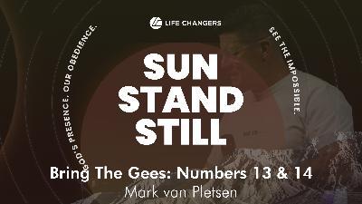 Bring The Gees: Numbers 13 & 14 - Mark van Pletsen