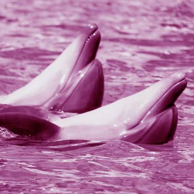 היה לי חבר, היה לי אח