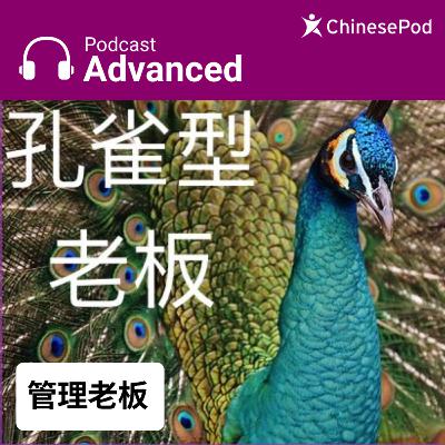 Advanced | 管理老板 Advanced | 管理老板