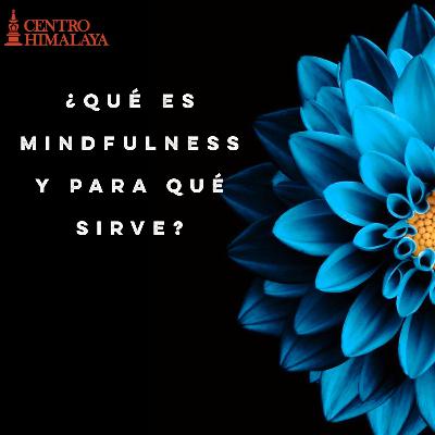 ¿Qué Es Mindfulness y Para Qué Sirve?