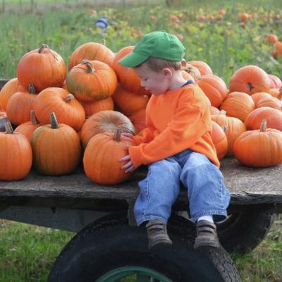 Should Catholics Celebrate Halloween? (Special Podcast Highlight) Should Catholics Celebrate Halloween? (Special Podcast Highlight)