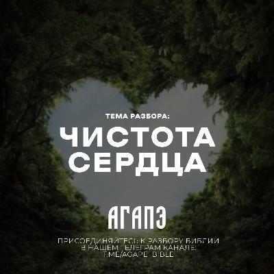 Чистота Сердца