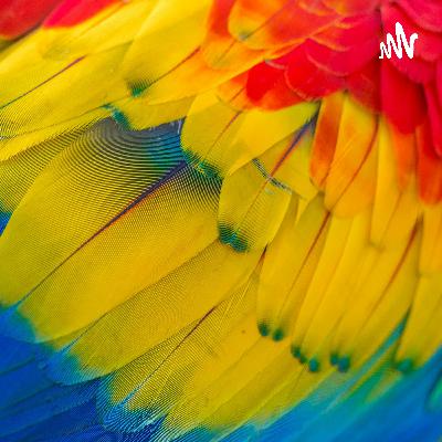 447.“海克斯科技”、“科技与狠活”是什么梗？如何看待背后的食品添加剂争议？