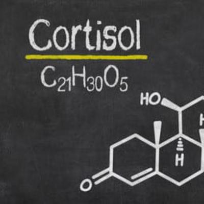 "El cortisol" "El cortisol"