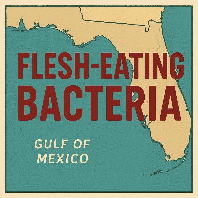 Florida & Louisiana Lead Flesh-eating Bacteria Deaths