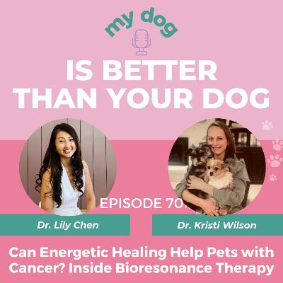 Can Energetic Healing Help Pets with Cancer? Inside Bioresonance Therapy w/ Dr. Kristi Wilson Can Energetic Healing Help Pets with Cancer? Inside Bioresonance Therapy w/ Dr. Kristi Wilson