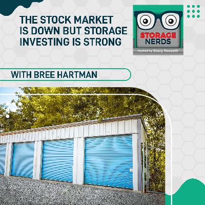 The Stock Market Is Down But Storage Investing Is Strong With Bree Hartman
