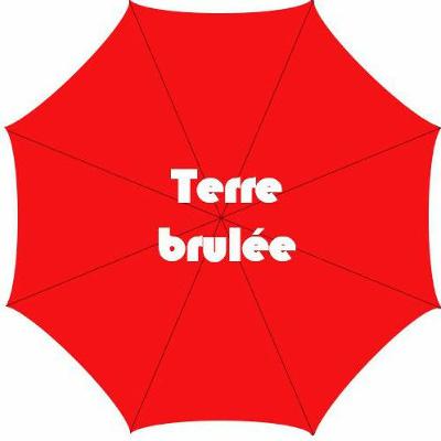 Episode 8 - Radiothérapie : Politique de la terre brûlée Episode 8 - Radiothérapie : Politique de la terre brûlée