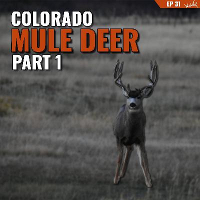 Colorado Mule Deer Part 1 Colorado Mule Deer Part 1