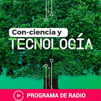 Raíces afro. Diálogos para mantener viva la cultura Raíces afro. Diálogos para mantener viva la cultura