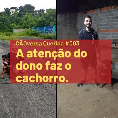 CÃOversa Querida #003 – Pierre – A atenção do dono faz o cachorro CÃOversa Querida #003 – Pierre – A atenção do dono faz o cachorro