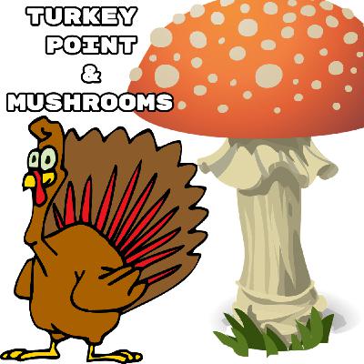 On the hunt for the Chantrelle mushrooms and a good cone On the hunt for the Chantrelle mushrooms and a good cone