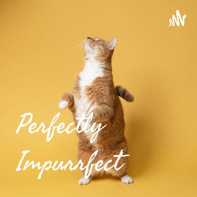 Playing "Hard to get" and Wishing you Happy Holidays