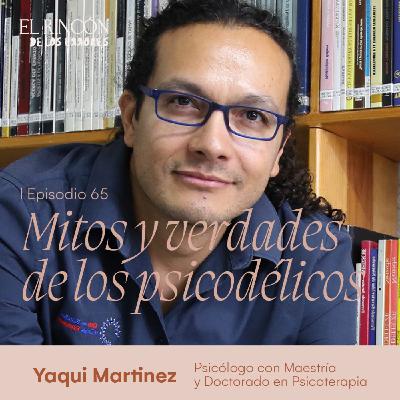 Errores, contradicciones y más de los psicólodelicos - Yaqui Martínez  | El Rincón de los Errores T6