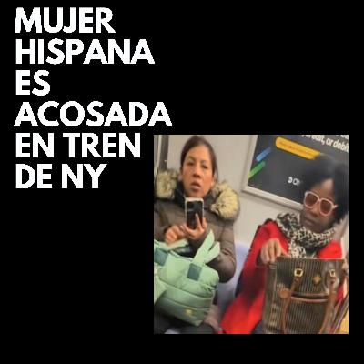 Mujer Hispana subre acoso racial en tren de Nueva Yol Mujer Hispana subre acoso racial en tren de Nueva Yol