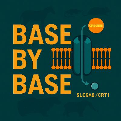 181: Creatine Transporter SLC6A8: Conservation and Variant Impact 181: Creatine Transporter SLC6A8: Conservation and Variant Impact