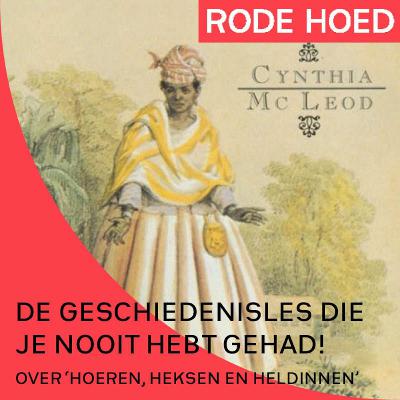 De geschiedenisles die je nooit hebt gehad
