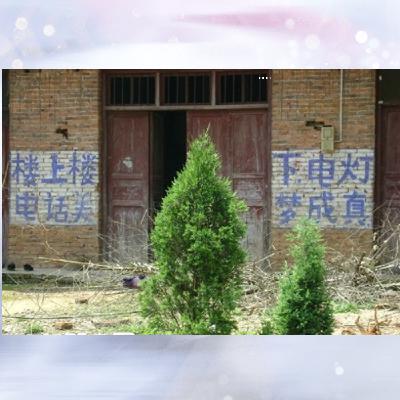 一个师傅俩徒弟（一）（原创作者：海燕）