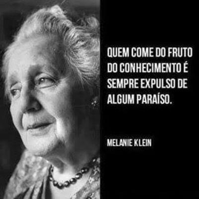 Livro: Introdução a obra de Melanie Klein - Hanna Segal