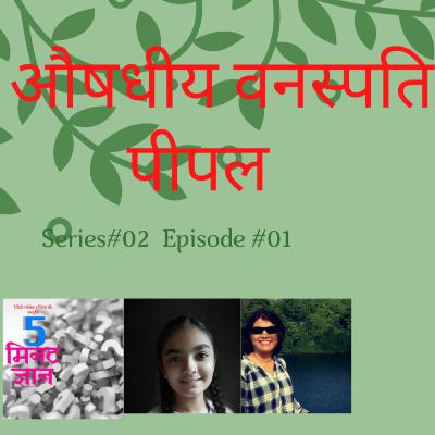 औषधीय वनस्पति : पीपल (Medicinal Plants : (Ficus religiosa)
