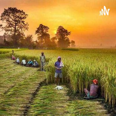 किसानों की आमदनी बढ़ाने के लिए ऑर्गेनिक उत्पादन की आवश्यकता