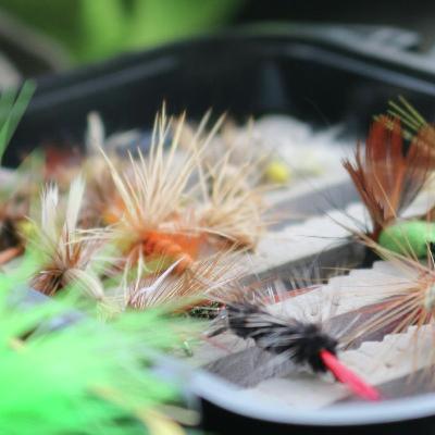 Long poling for summer fish