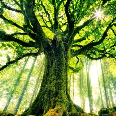 T1 9. Meditación Guiada Abundancia en tu vida, Mindfulness