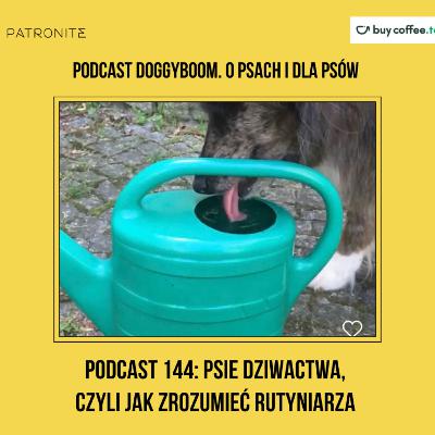 Podcast 144: Psie dziwactwa, czyli Jak zrozumieć rutyniarza Podcast 144: Psie dziwactwa, czyli Jak zrozumieć rutyniarza