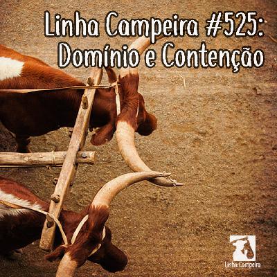 Episódio #525 - Domínio e Contenção