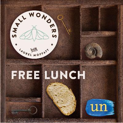 Free Lunch