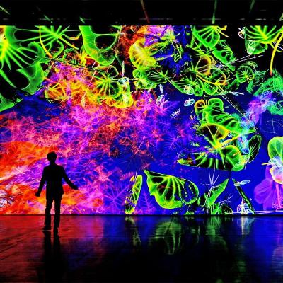 "Digital by Nature": Immersive Kunst in der Münchner Kunsthalle