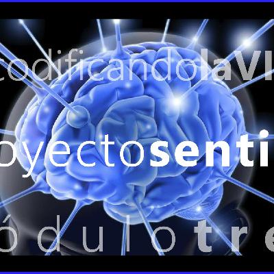 Emision Nº 5 - Proyecto Sentido RadioOnline - Bs As, Argentina Emision Nº 5 - Proyecto Sentido RadioOnline - Bs As, Argentina